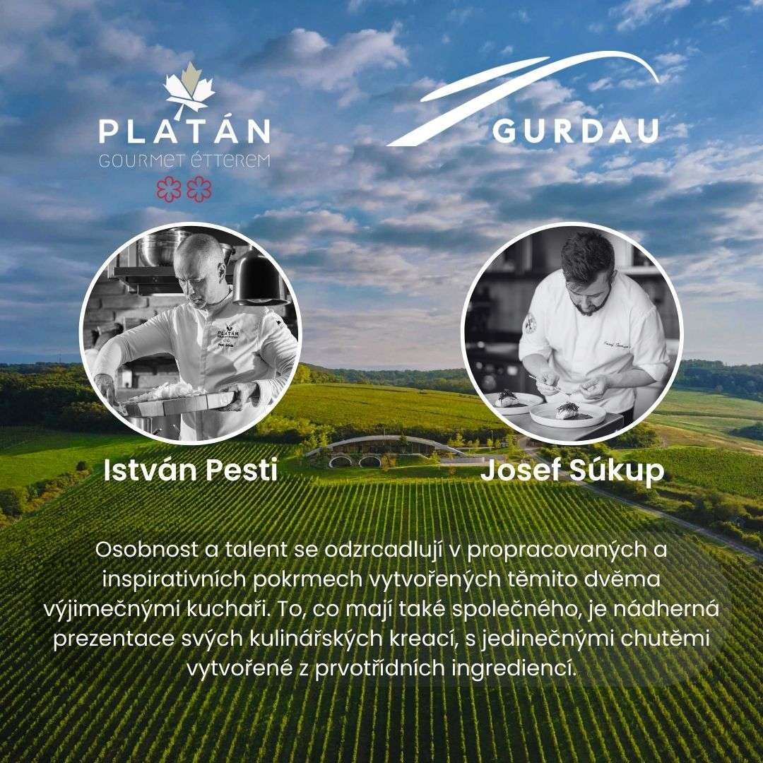 vinařství Gurdau