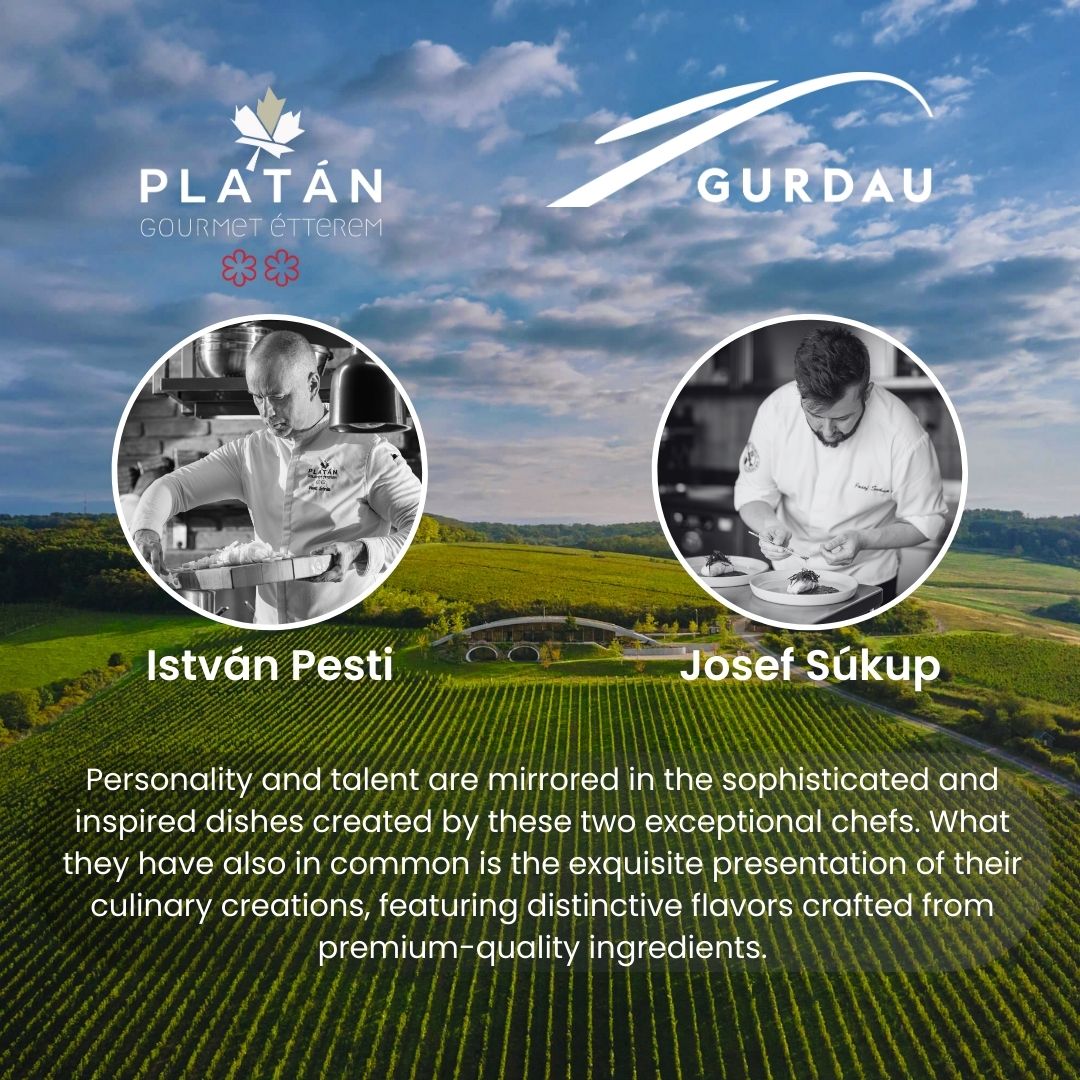 vinařství Gurdau